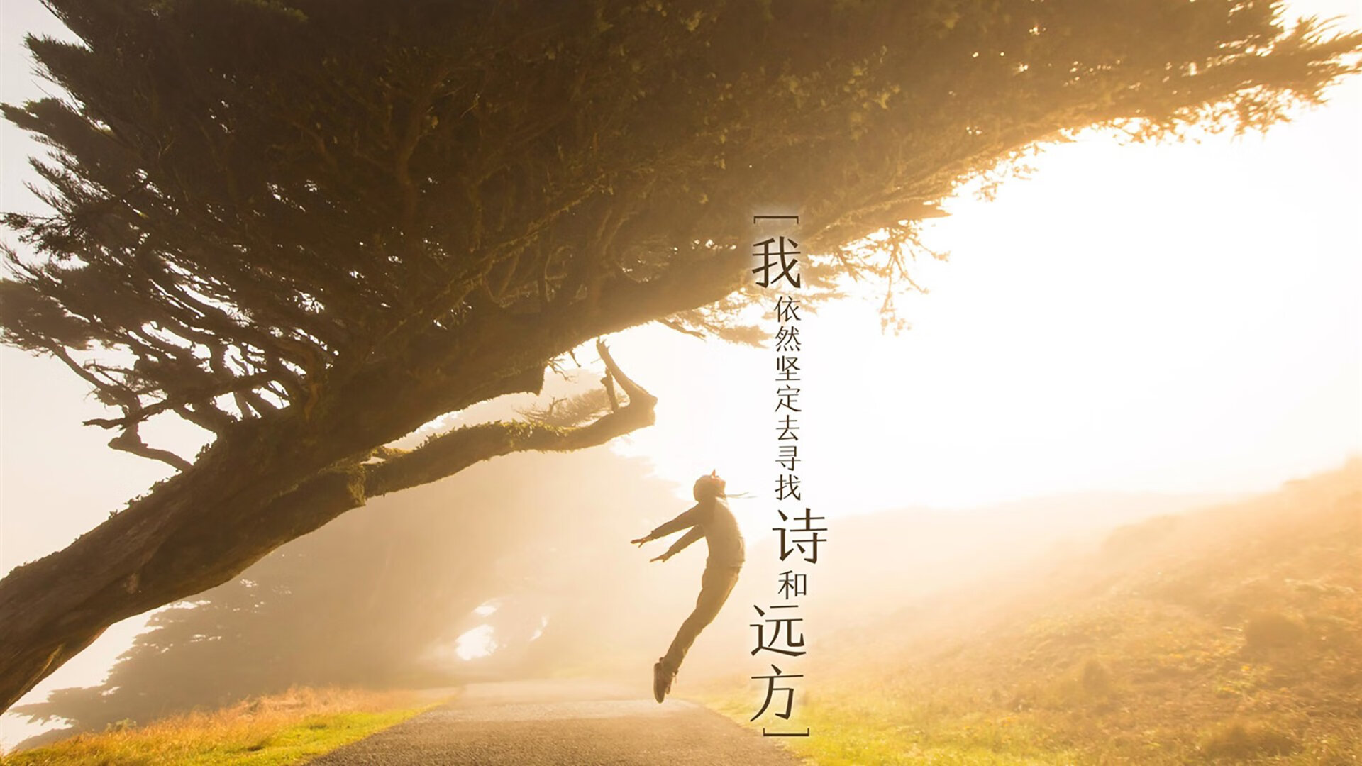 “中超联赛引入虚拟现实体验，提升观众沉浸感”，中超举办