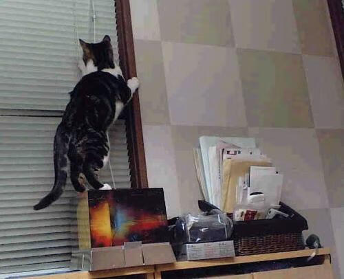 Kaiyun APP-众多高校加入“校园篮球联盟”，推动校园体育繁荣，高校篮球邀请赛