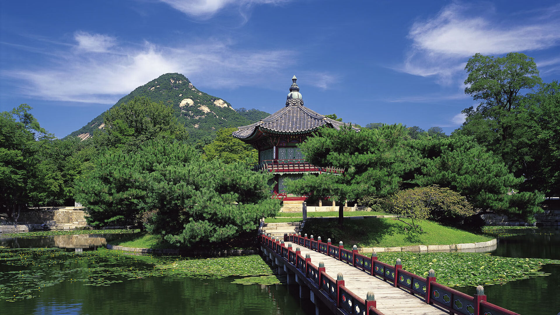 kaiyun体育app-法国男篮在奥运热身赛中展现强大实力，奥运 法国男篮