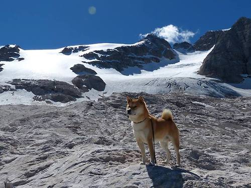 法国男篮在奥运热身赛中展现强大实力,奥运 法国男篮