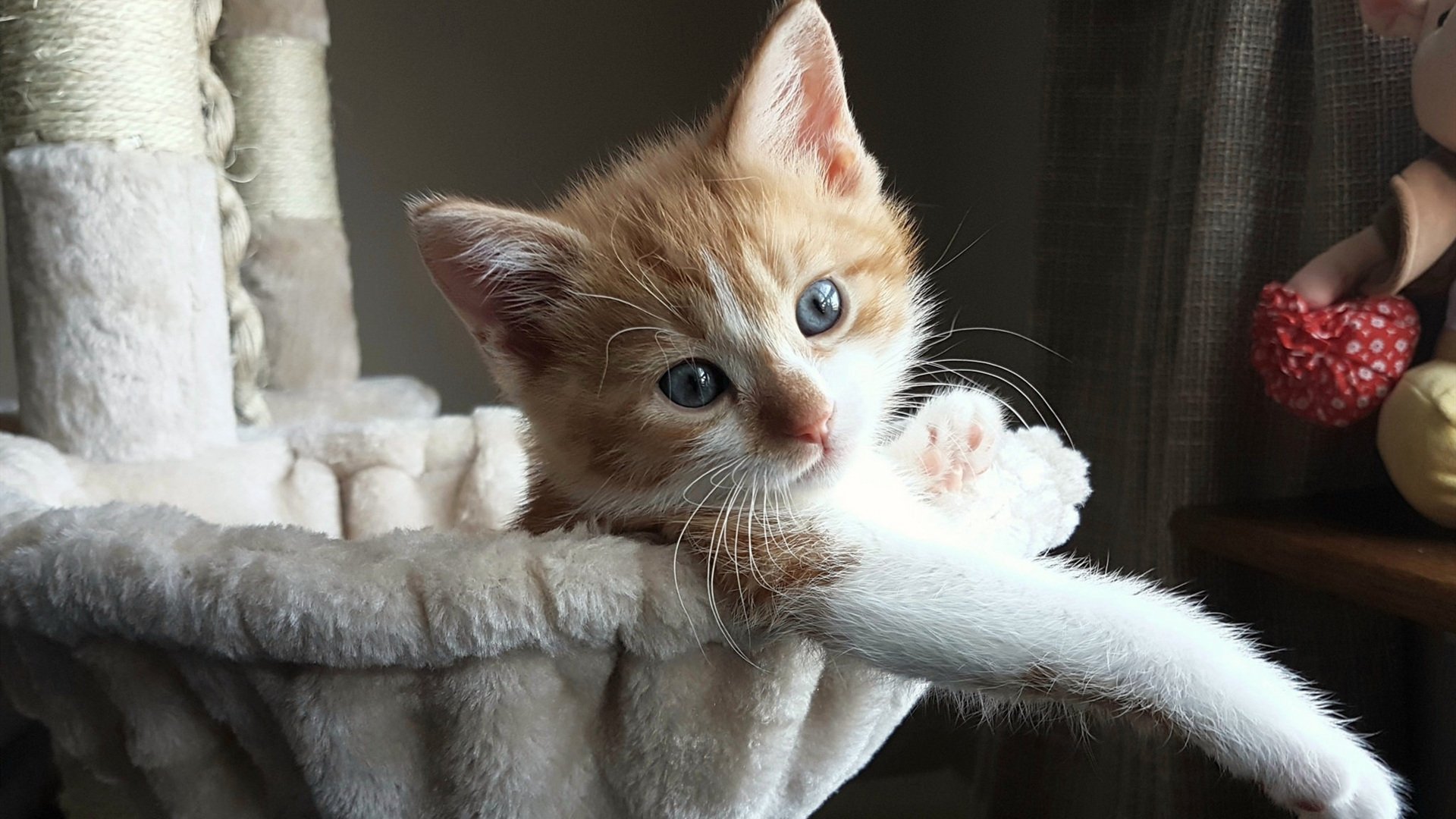 开云平台-步行者发布城市联名球衣“印第安纳之魂”，印第安纳步行者队球衣