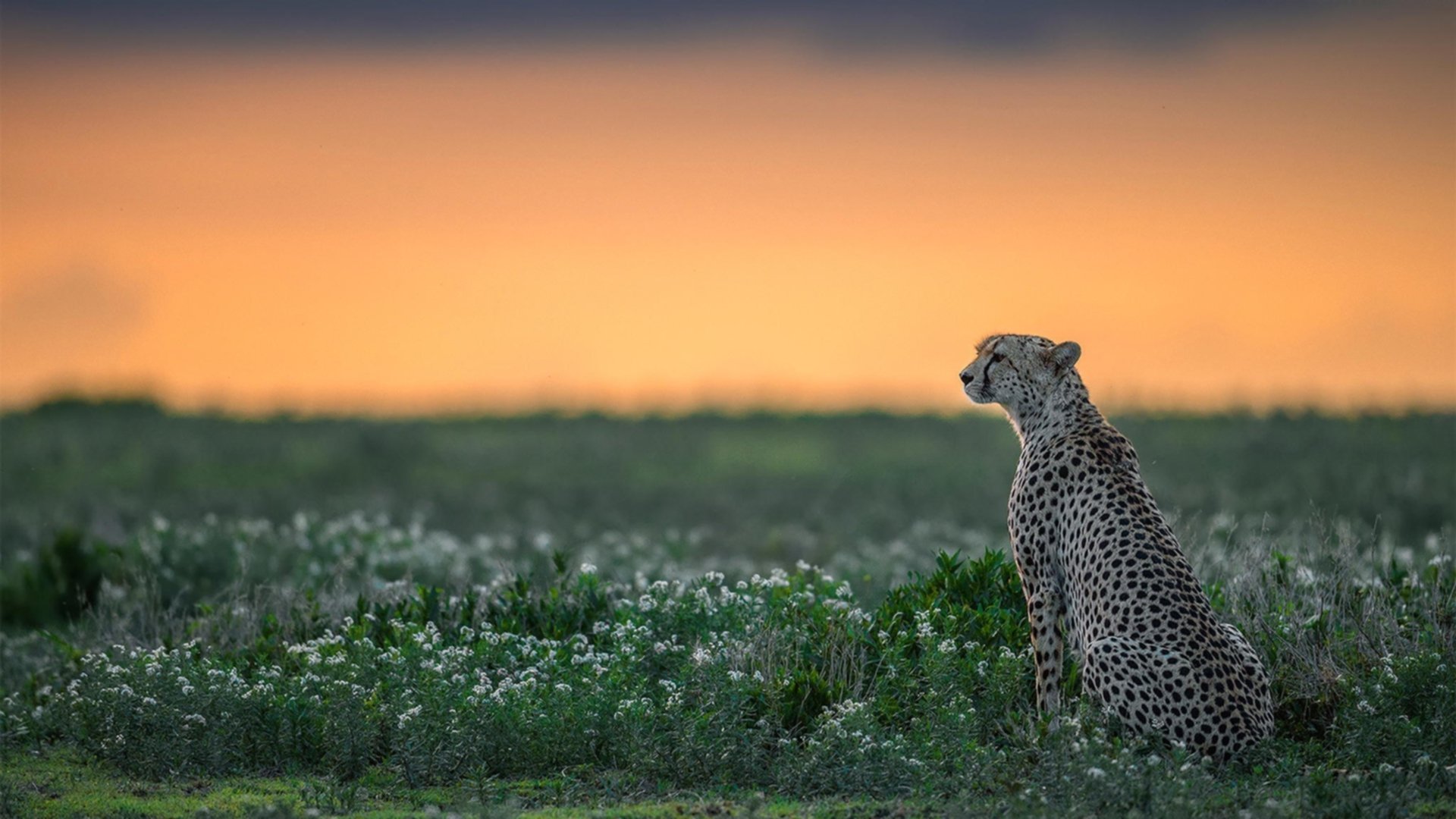 现代舞与极限运动结合,别开生面的视觉盛宴,现代舞与当代舞最本质的区别