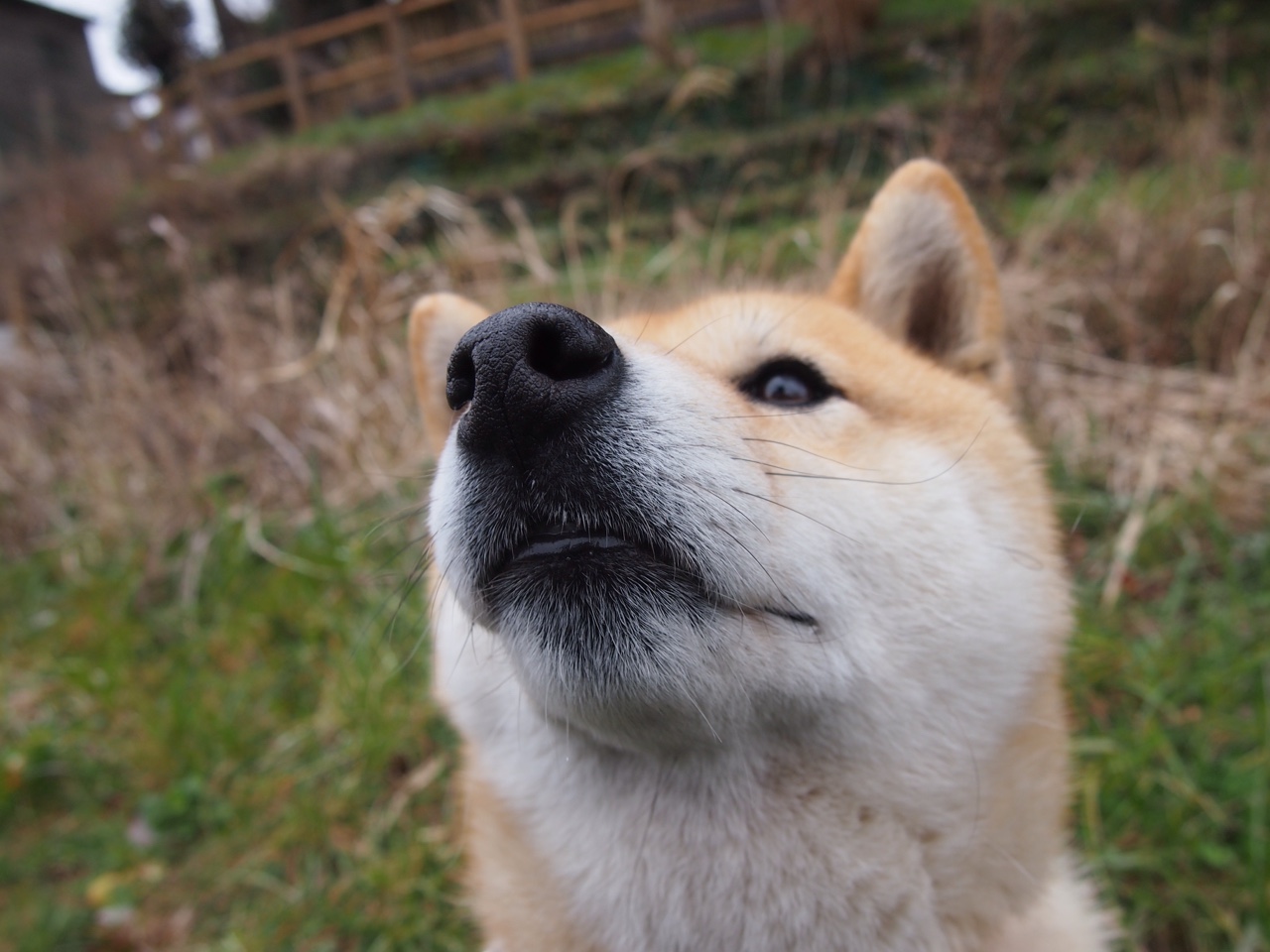 王者荣耀 新赛季战队阵容浮现,王者赛季更新战队