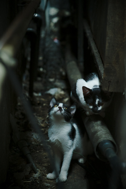 开云kaiyun-电竞战队的心理辅导：压力管理与团队凝聚力，电竞行业的团队