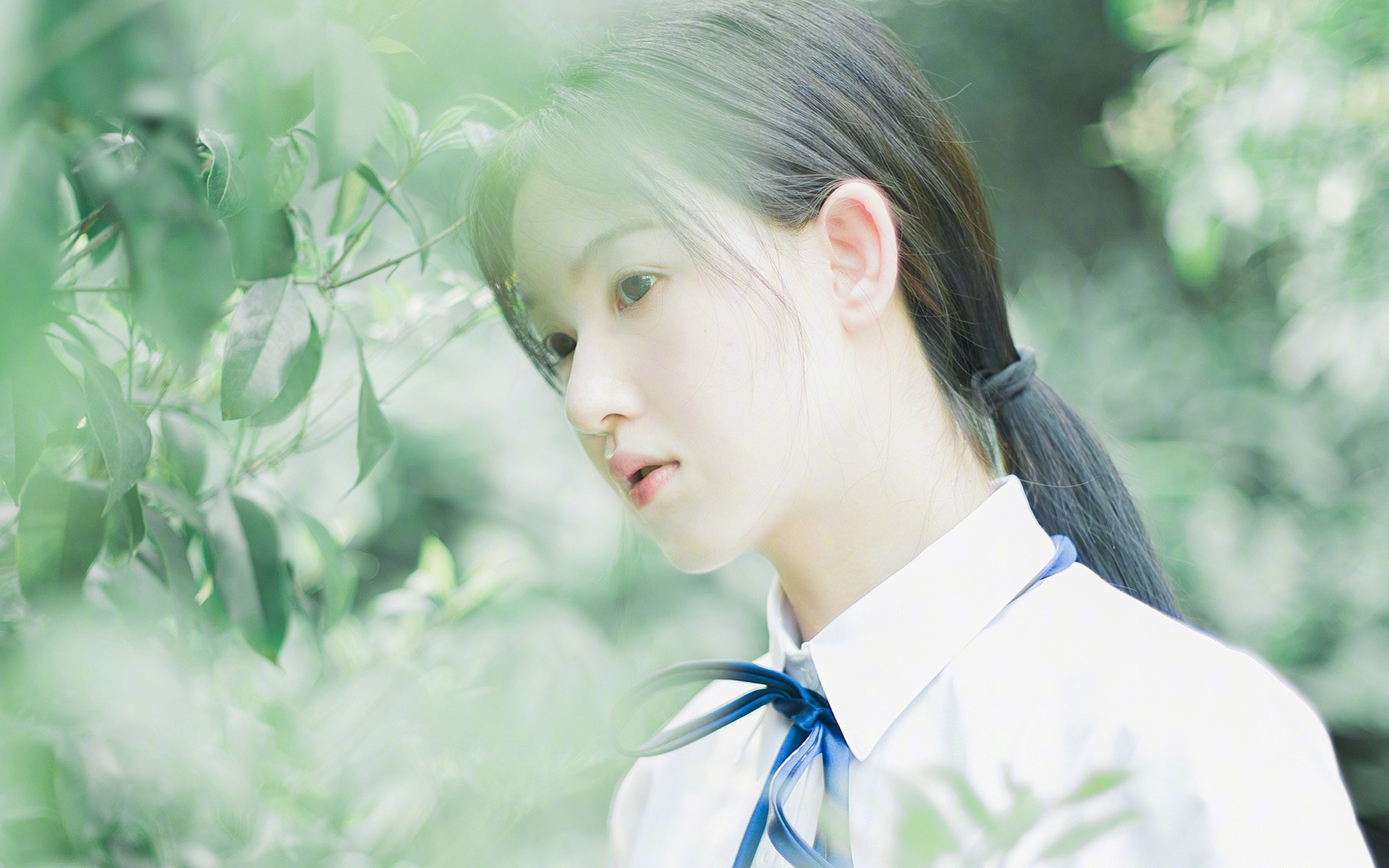 开云中国大陆-Aster进攻效率持续走高，aster进度