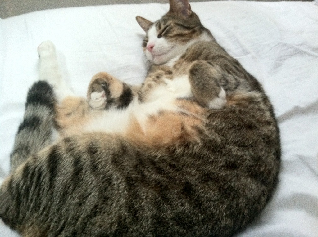 世界联赛战况扑朔迷离，悬念不断，世界联赛比赛时间表