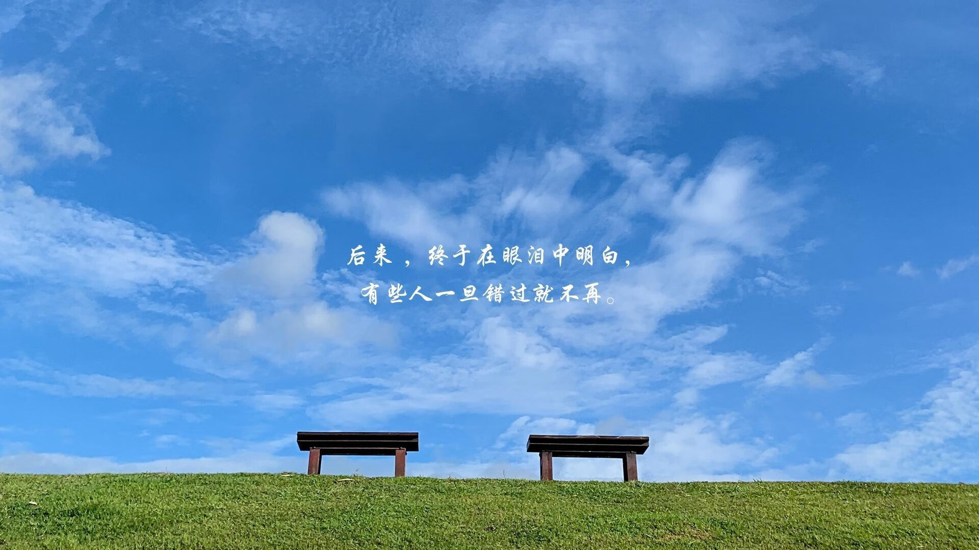 内蒙古队战胜云南,提前晋级季后赛,wcba 内蒙古