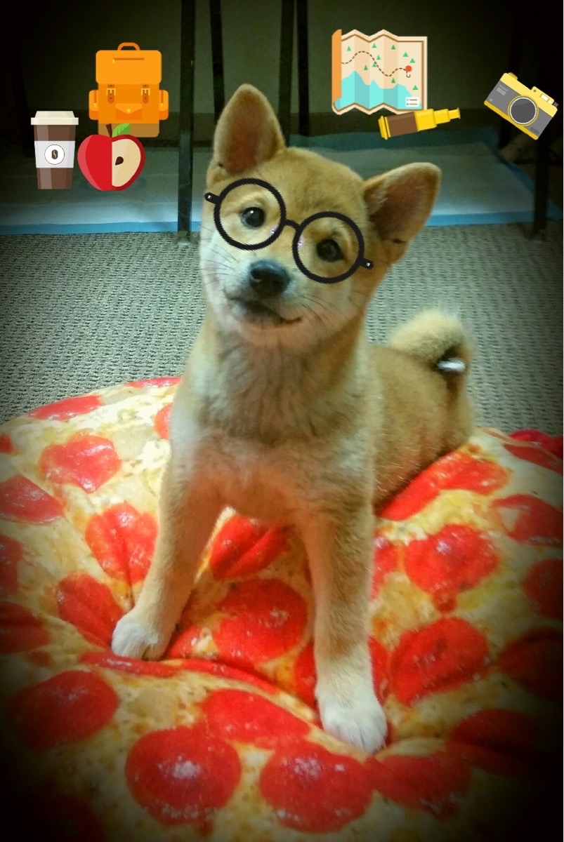 北美CS_GO赛事热度攀升,csgo北美赛区赛事直播