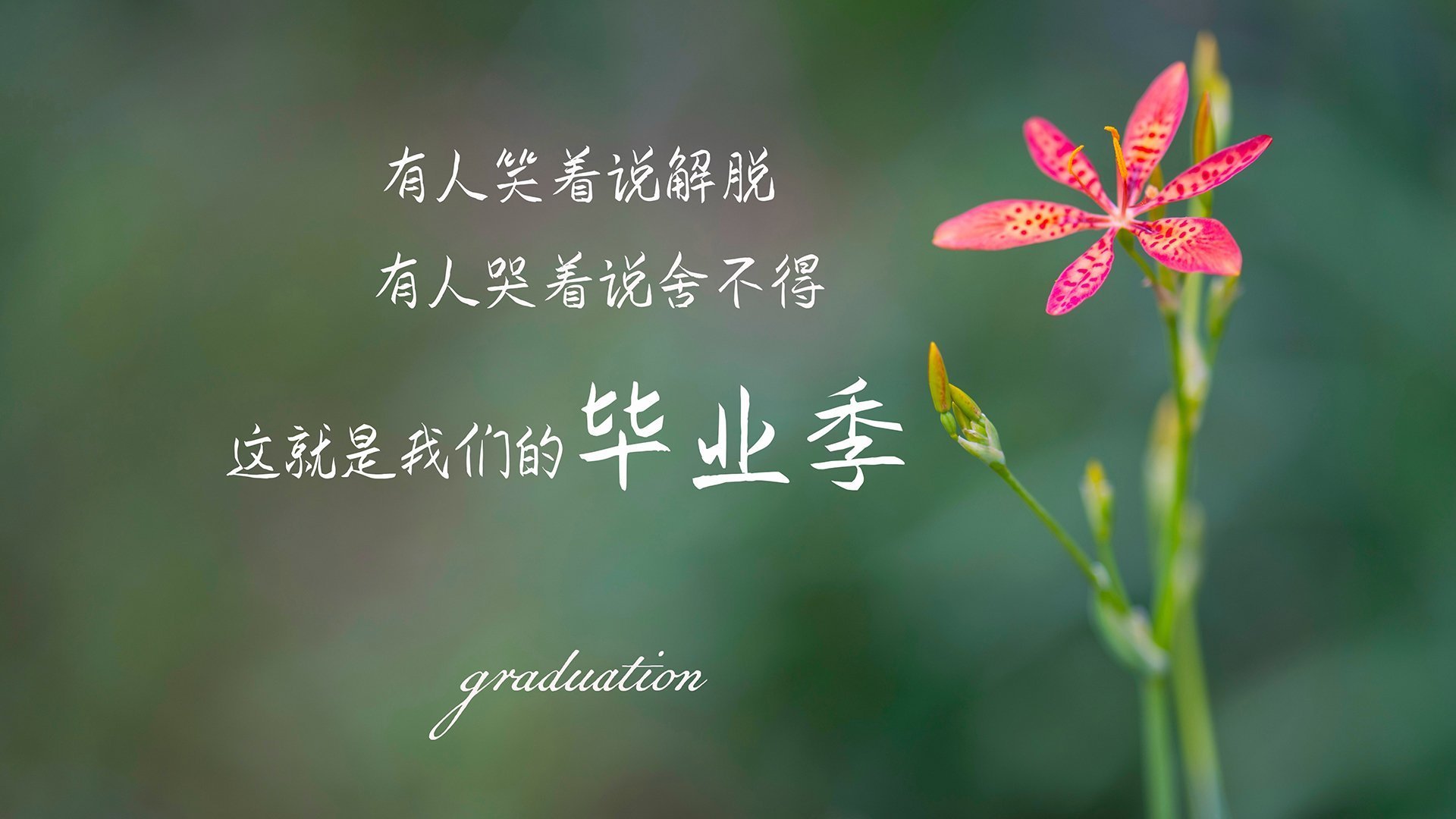 kaiyun网站-巴黎圣日耳曼签下西甲射手，强化锋线实力，巴黎圣日耳曼2021赛季阵容