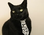 开云体育APP下载-是否应推动联盟开展全球文化巡展计划，是否应推动联盟开展全球文化巡展计划