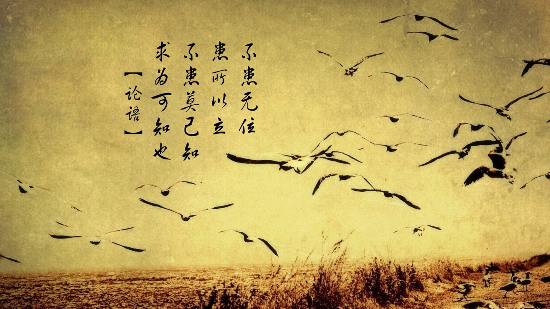 开云入口-柏林赫塔主场不敌对手，遭遇失利，柏林赫塔主客场球衣