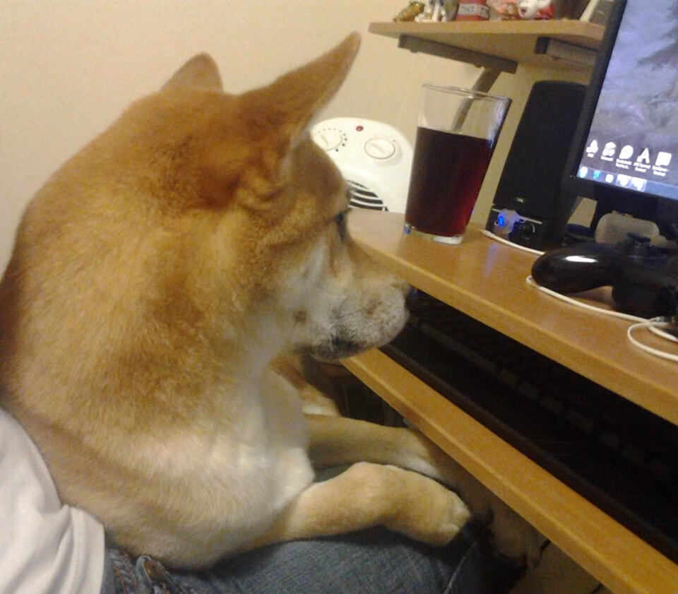 Kaiyun APP-梅西回归阿根廷国家队备战世界杯，梅西回归阿根廷国家队备战世界杯了吗