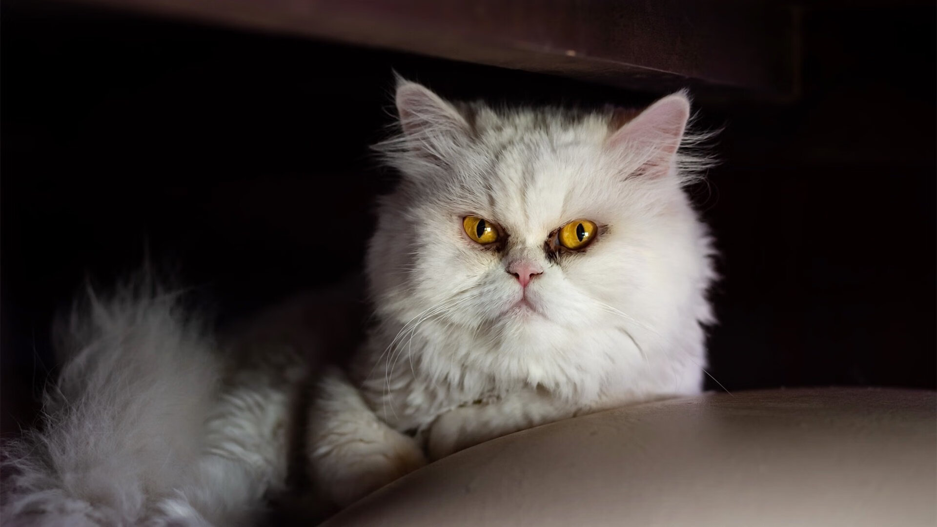 欧国联比赛：利比亚队逼平突尼斯队，欧联杯 比利亚雷亚尔