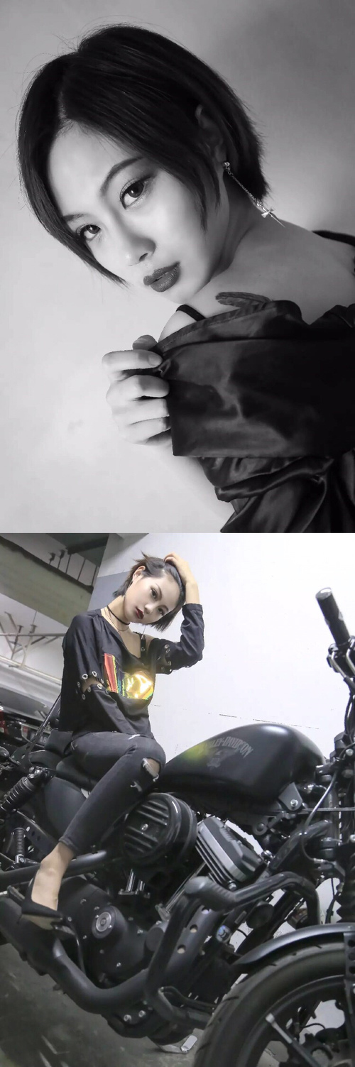 森林狼球队替补阵容发挥稳定