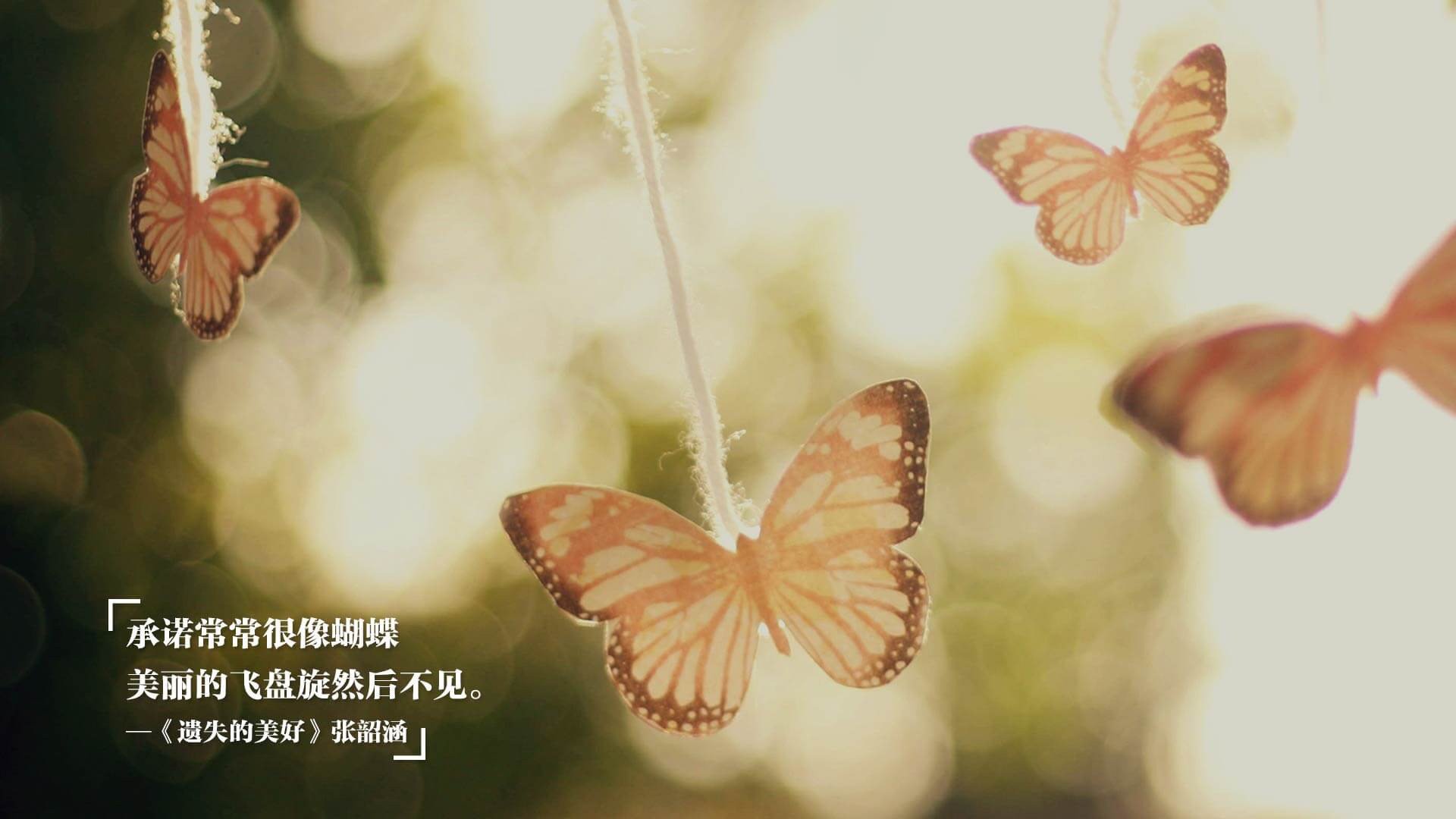 综合射击比赛高校联赛全面启动，综合射击训练系统