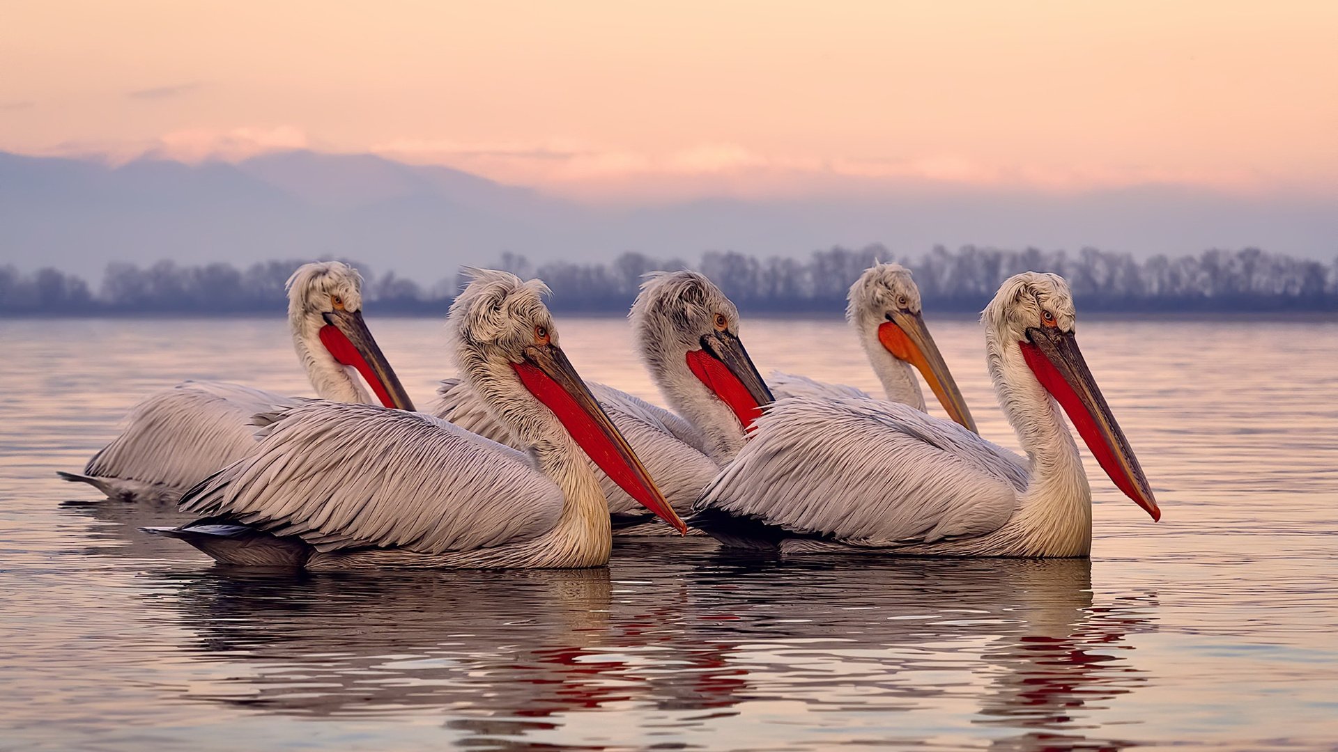 足球职业联赛新晋球队实力强劲，冲击前列，足球职业联赛什么时候开始