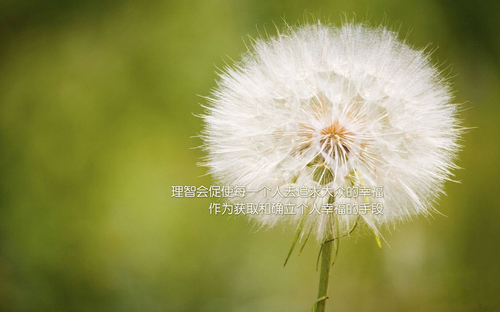 开云体育-非洲篮球联赛火热启动，硝烟四起，非洲篮球联赛视频