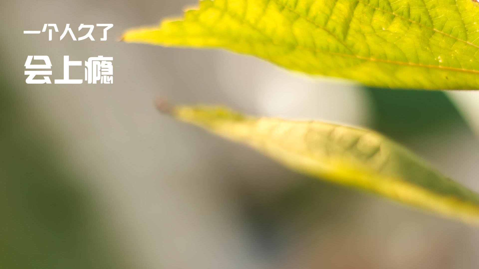 新闻中心新员工培训顺利结业，新员工入职培训结业典礼简报