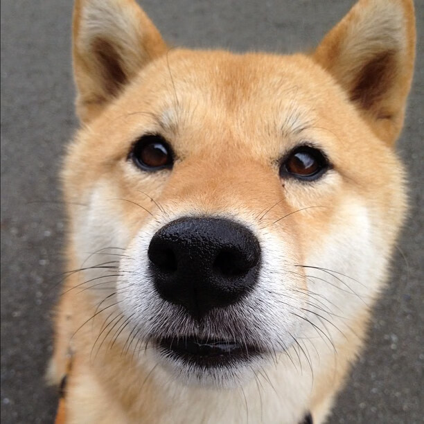 校园体育文化认同感对学生归属感的影响研究,简述校园体育文化的作用