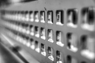 开云·体育官网-高校运动训练科学管理模式创新实践，运动训练科研管理工作要求