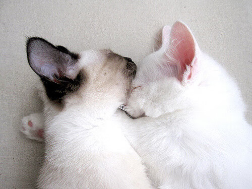 “球速飙升,反应极速!高新区全民健身馆壁球赛场技术与速度的碰撞”