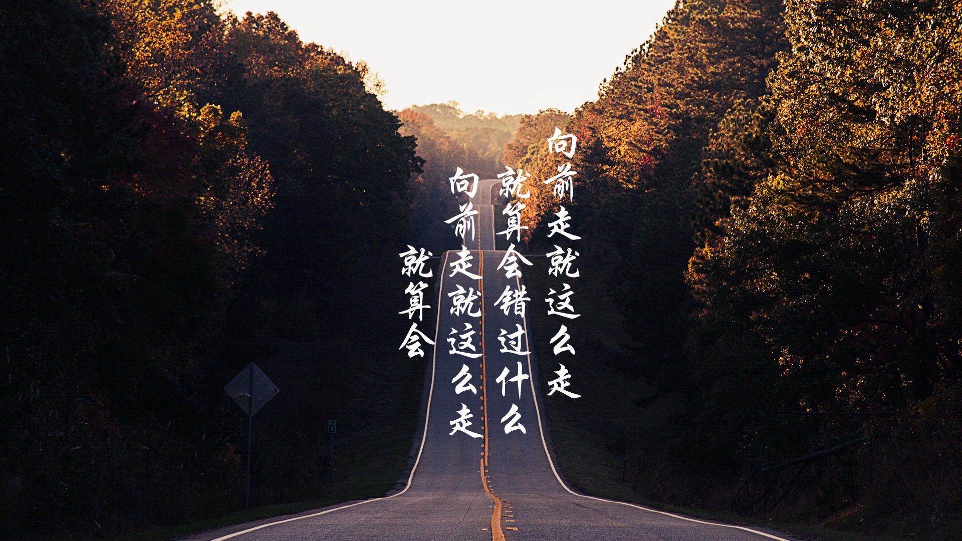 冠军速度模型及技术动作解析，冠军时刻百度百科