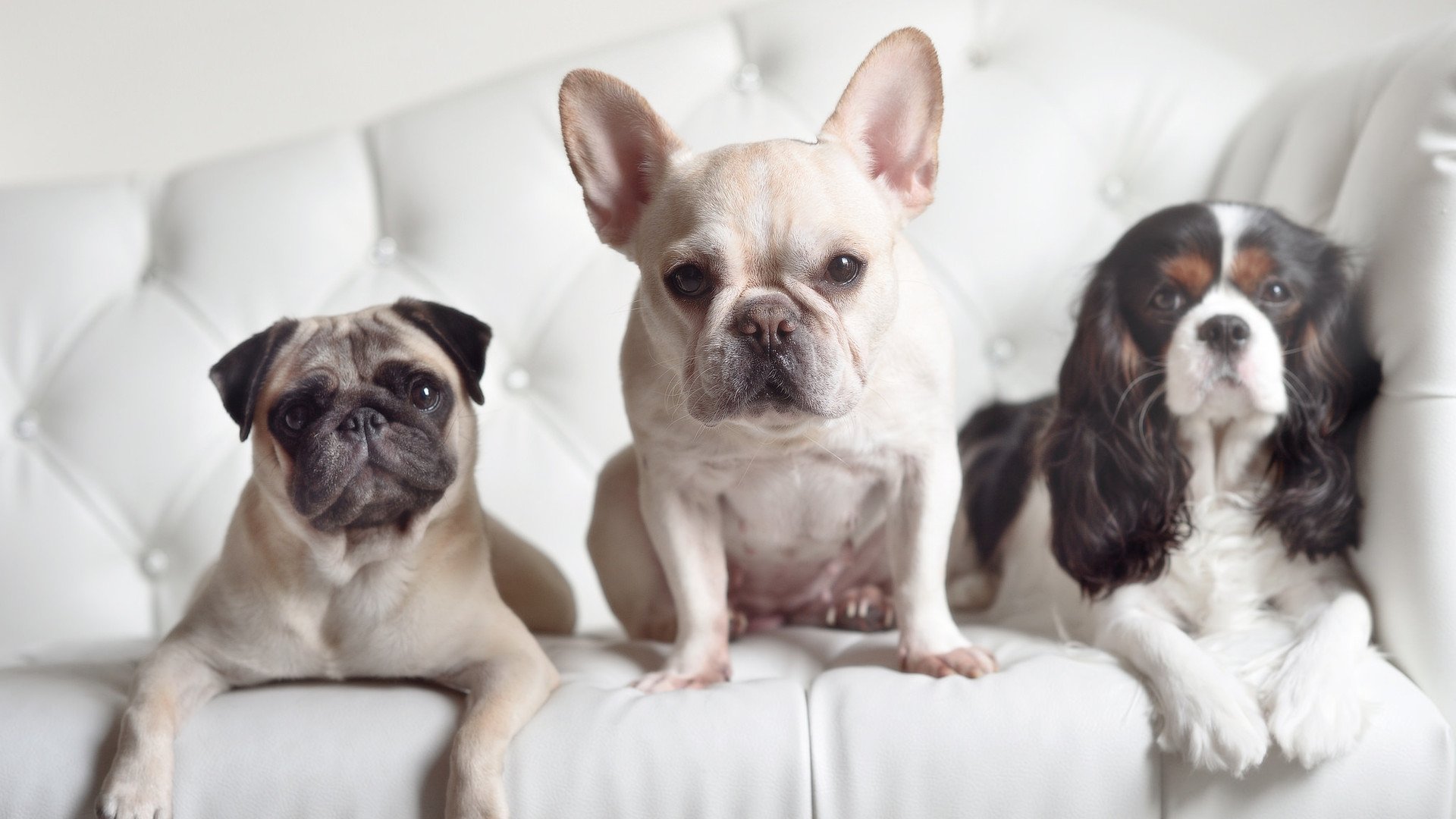 盛夏湖畔,赛事热度持续飙升,治疗滑精中药