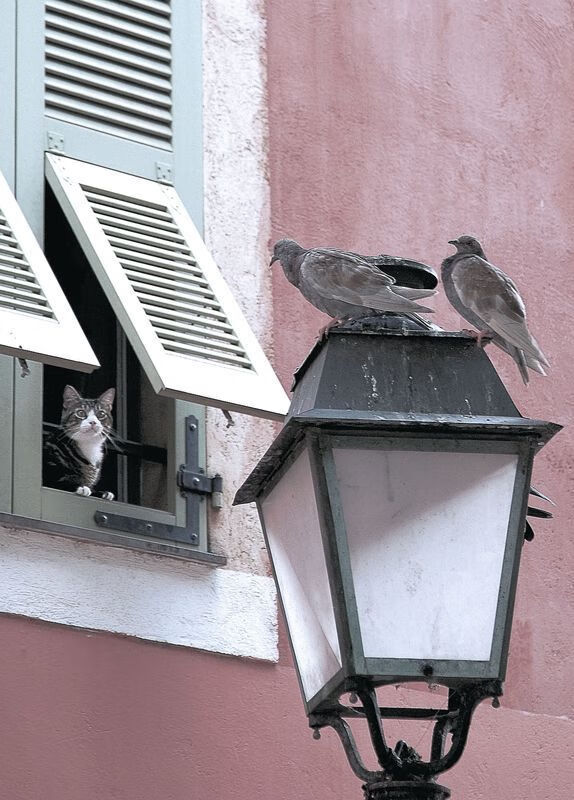 开云官网-皮特·斯图斯荣膺南非年度最佳球员