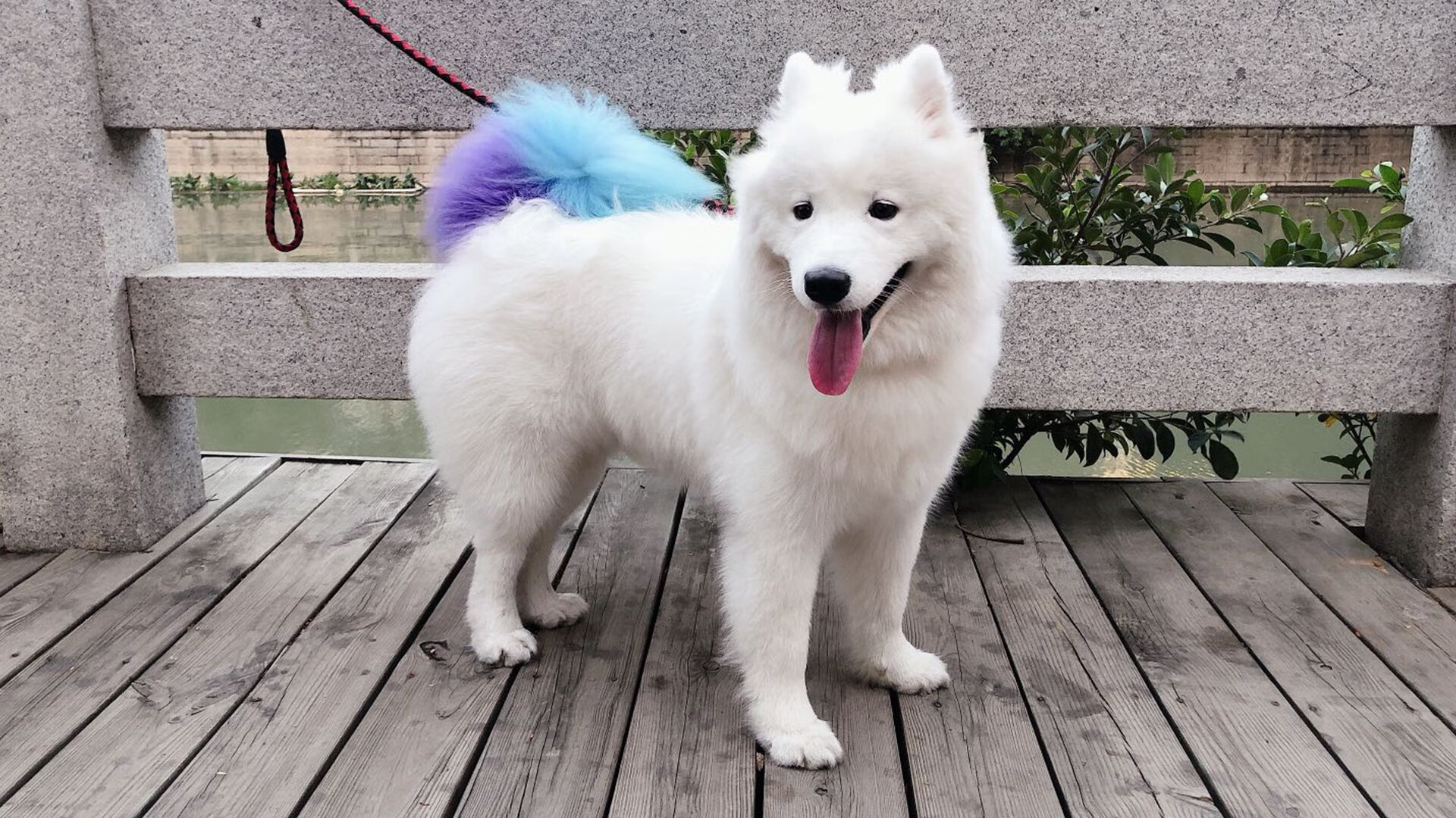 英超疯狂脚球:攻势凌厉让人窒息,英超read